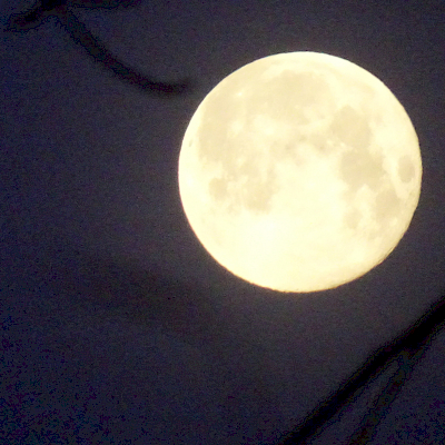 20.2.19 Superluna