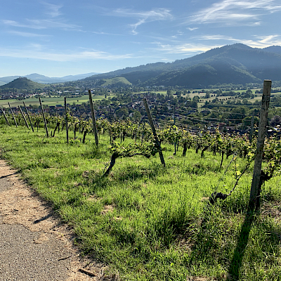 Staufen 2. Juni 2019