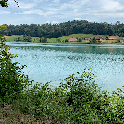 Wohlensee