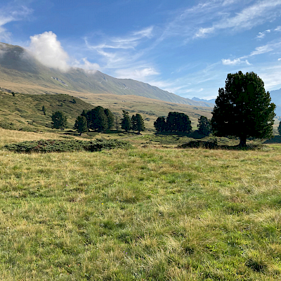 26.08.2020 Cantonill