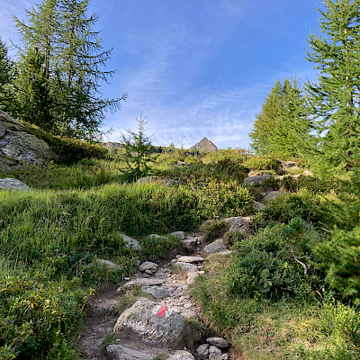 27.08.2020 Aufstieg Passo Colombe