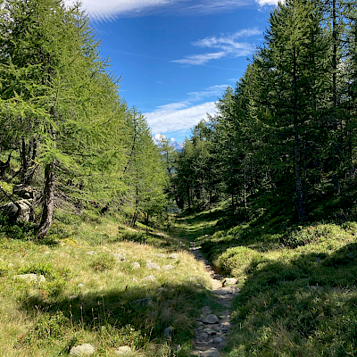 27.08.2020 Selva Secca