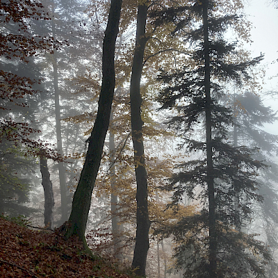 Gurten