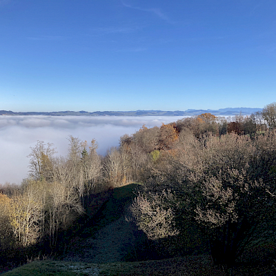 Gurten