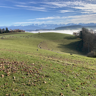 Gurten