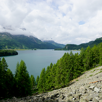 Sils Maria - Grevasalvas