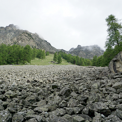 Sils Maria - Grevasalvas