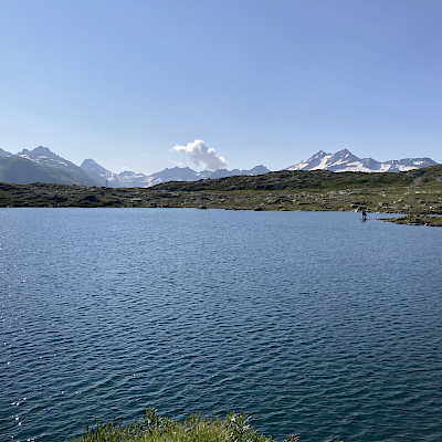 Grimsel