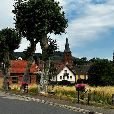Neuwiller