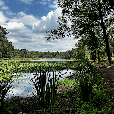 Midden-Noord-Brabant