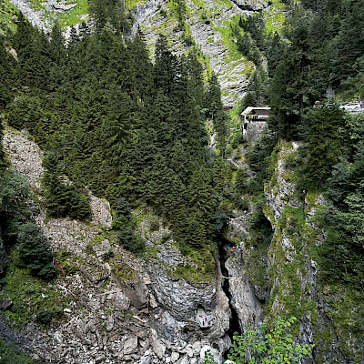 4. Tag Viamala