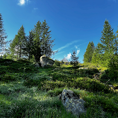 Alpe Casaccia - Passo Columbe - Passo del Sole - Passo Predelp - Acquacalda