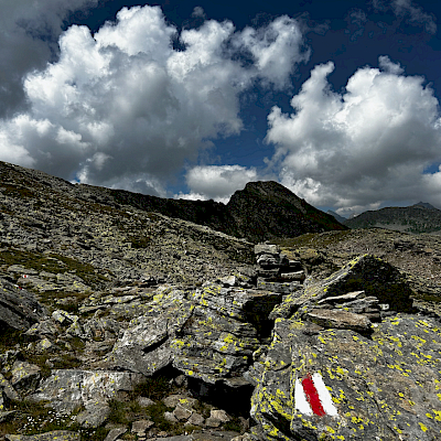 Alpe Casaccia - Passo Columbe - Passo del Sole - Passo Predelp - Acquacalda