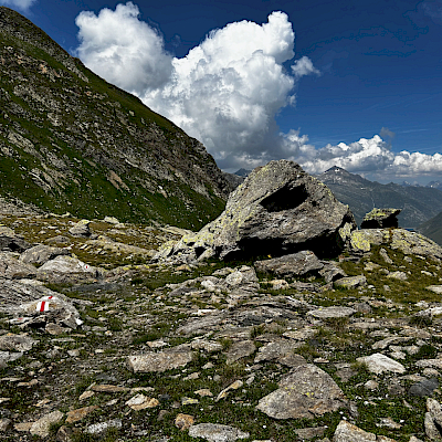 Alpe Casaccia - Passo Columbe - Passo del Sole - Passo Predelp - Acquacalda