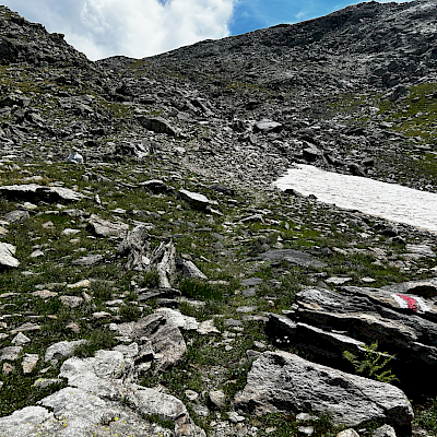 Alpe Casaccia - Passo Columbe - Passo del Sole - Passo Predelp - Acquacalda