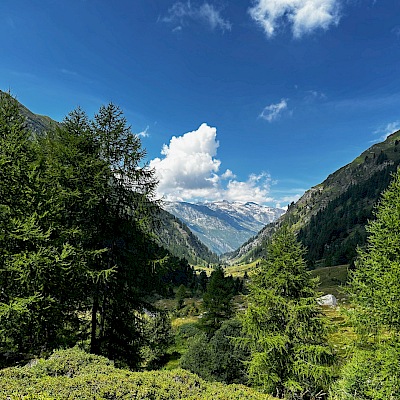 Olivone - Campo Blenio - Val Carassino - Adula Hütte und zurück (Velo)
