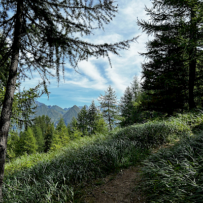 Olivone - Passo Cantonil - Piz Rosetto - Campo Blenio - Olivone