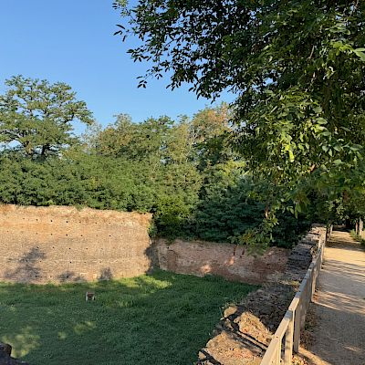Ferrara